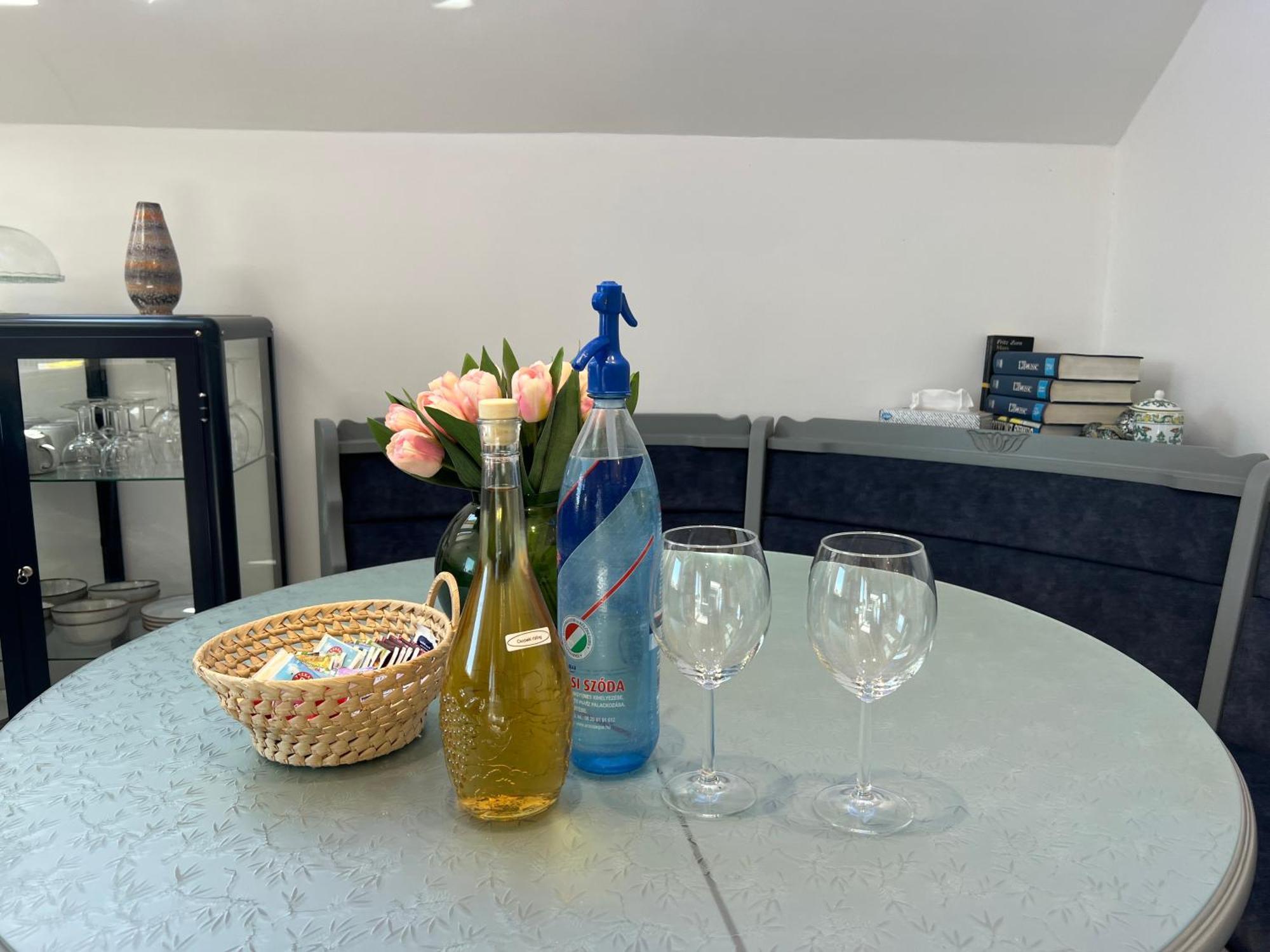 Neon Apartman Csopak Balaton 外观 照片